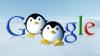 Nouvelle mise à jour Penguin de Google